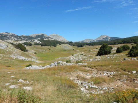 Pogled proti najvišjem vrhu
Lovćena – Štirovniku (1749 m).