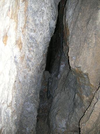 Trdovratna ožina.