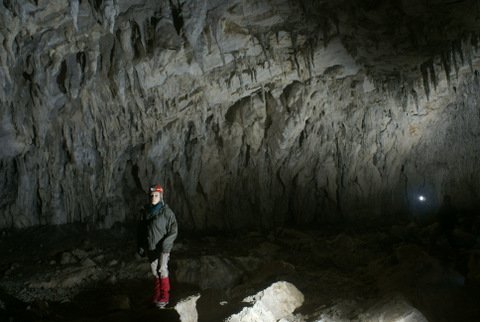 Velika dvorana in bogato okrasje. Foto Mihael Rukše