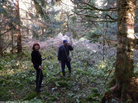 Angelca in Boro na območju nekdanje bolnice Zgornje Lašče. Foto Blaž Štangelj.
