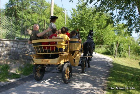 Vožnja na zapravljivčku.