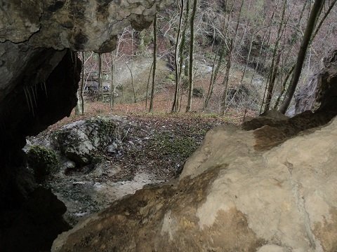 Pogled iz notranjosti jame proti vhodu in potoku. Foto Borivoj Ladišić.