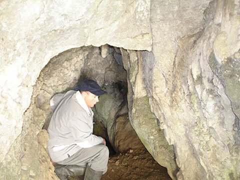 Notranjost Lisičine pod Gričem.