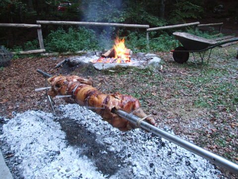 POZOR! Vegeterjanci glejte stran ...