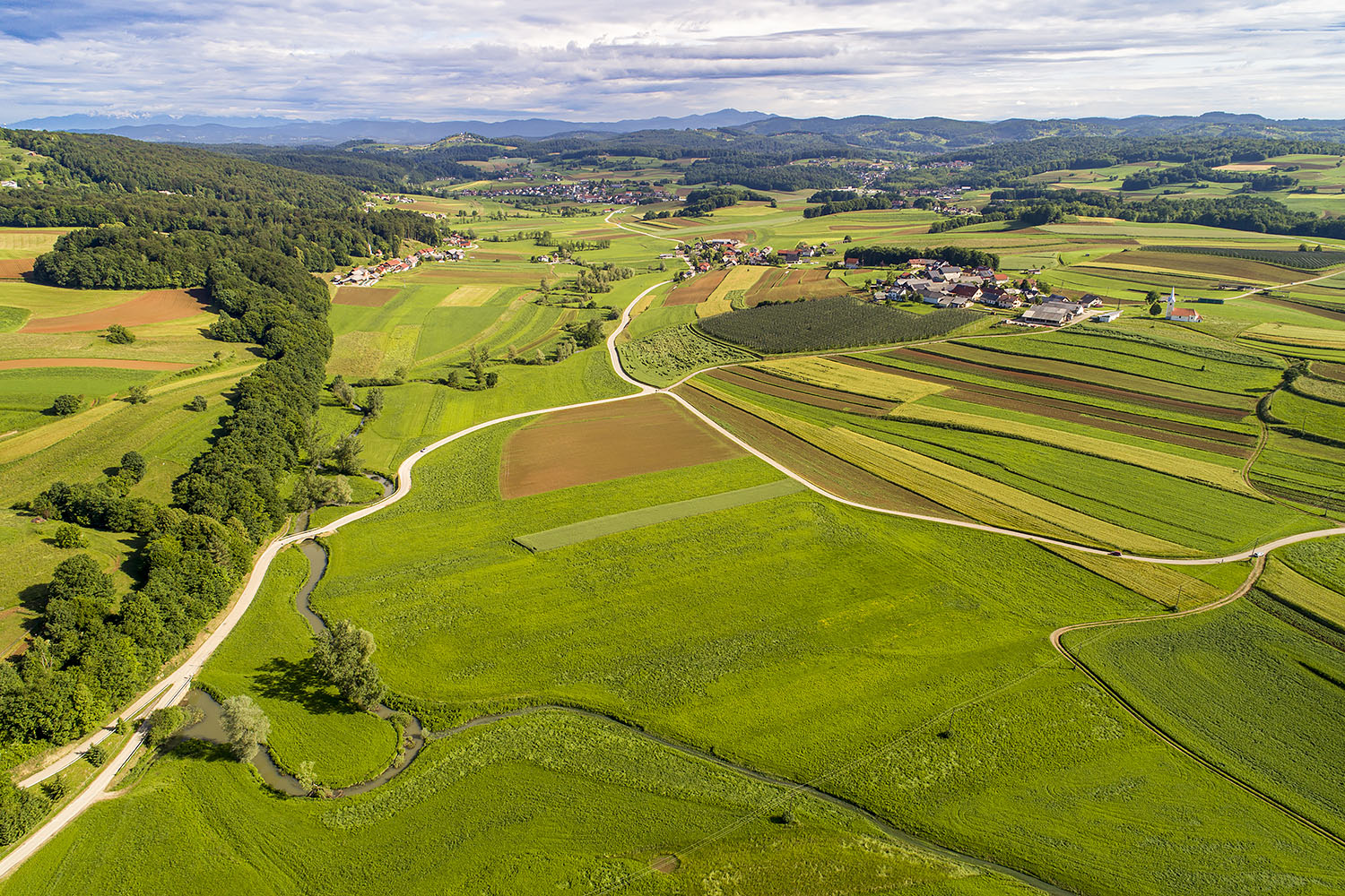 Temenica teče po Mirnopeški dolini, preden ponikne v Rupah pod Goriško vasjo. Foto Marko Pršina