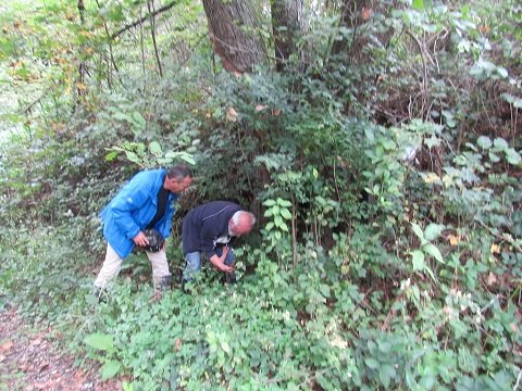 Iskanje monolister v enem izviru pri Anžah. Foto Angelca Pajk.