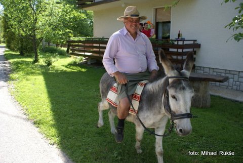 Gremo osliček!