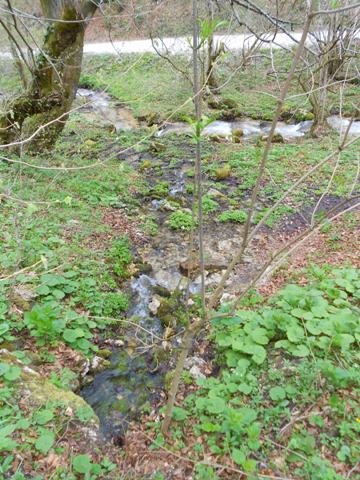 Po kratki strugi doseže voda iz izvira potok Pendirjevko, ki teče po dnu doline.