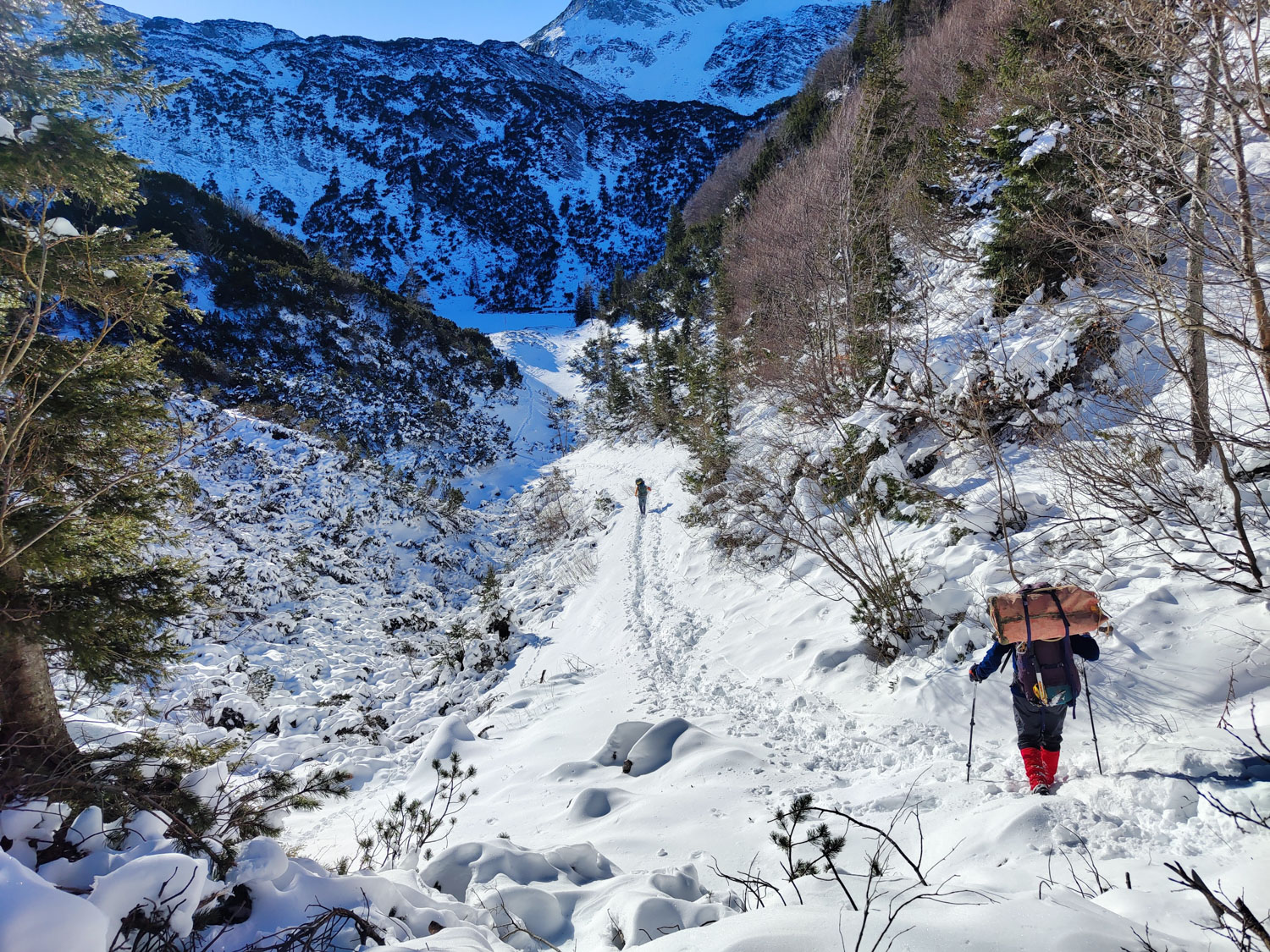 Planina Poljana se nahaja pod Velikim Raskovcem, nekje na polovici med Črno prstjo in Rodico.