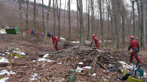 Cesta in kontejner na njej sta bila kar daleč ...