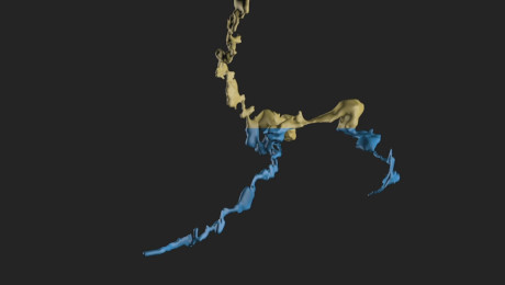 Grdinova simulacija vode v 3D načrtu Čaganke.