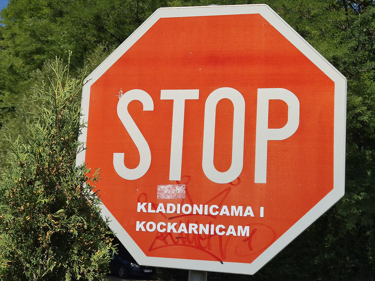 Družba postaja vse bolj ozaveščena.